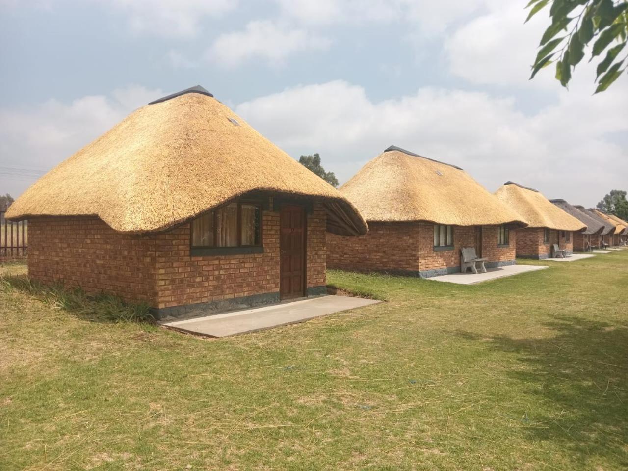 Pepe Piatto Lodge Grootvlei Kültér fotó